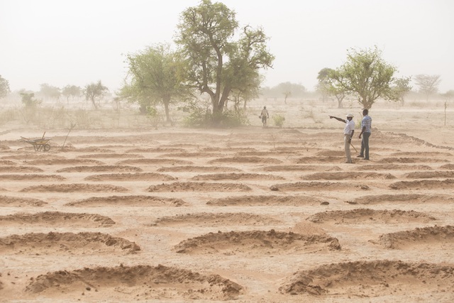 The Delfino plough creates half-moon shapes across the landscape to catch water for planting seedlings and restoring land. ©FAO/Giulio Napolitano